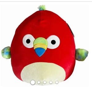 16” Paco the Parrot Squishmallow